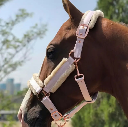 Sheepskin Halter