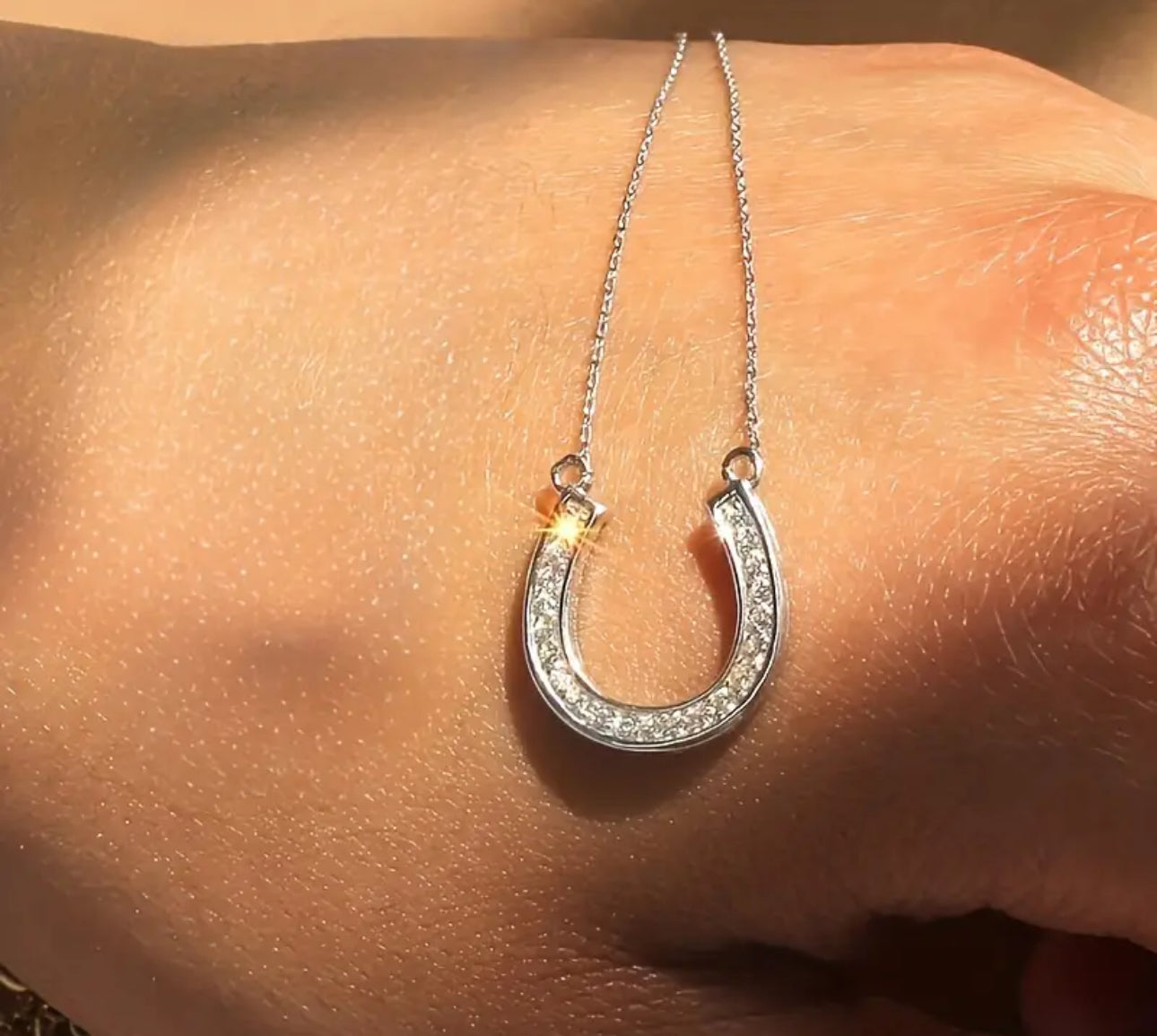Horse Shoe Necklace