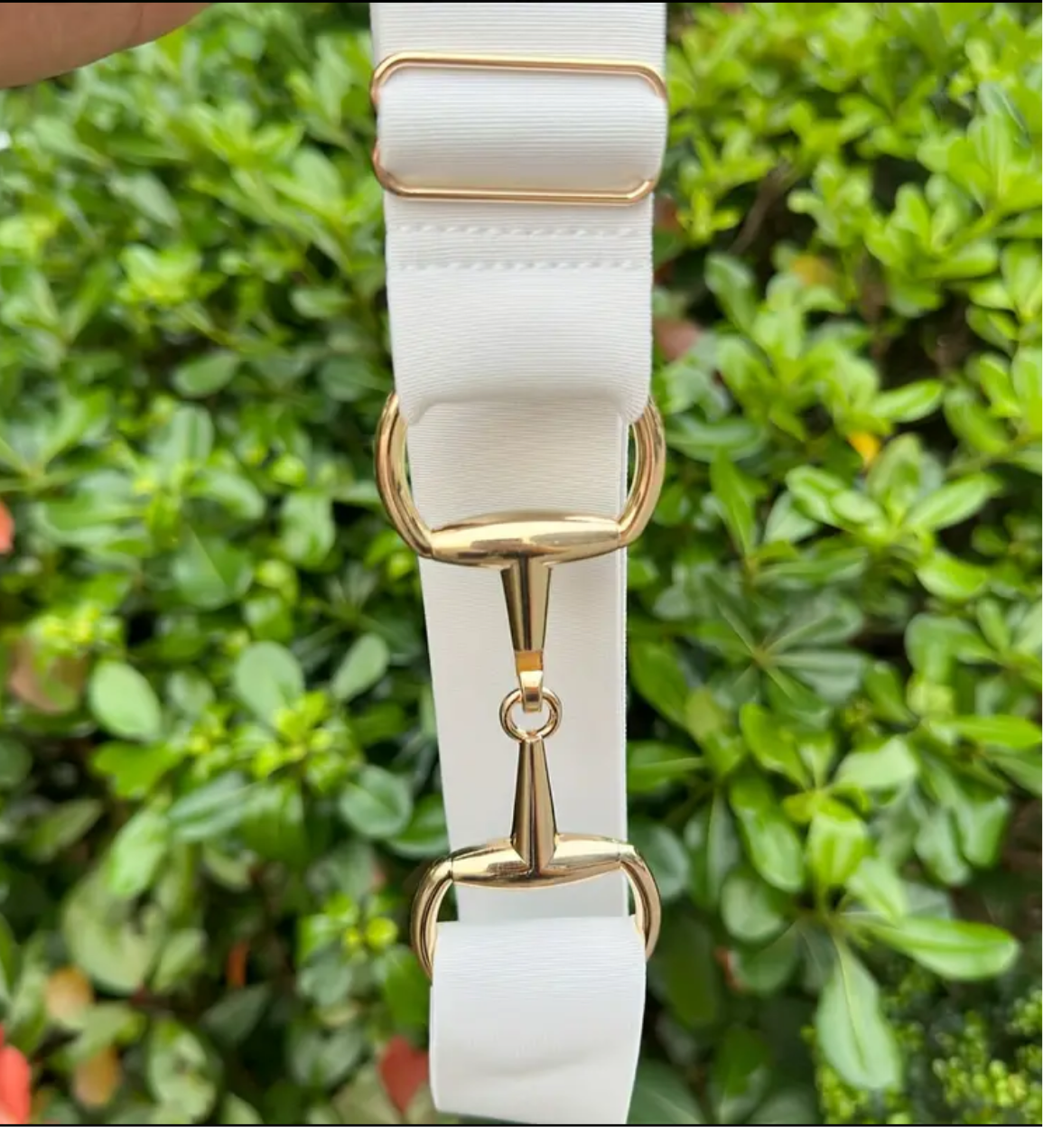 Belts