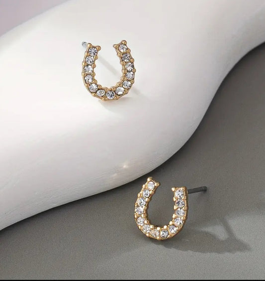 Horse Shoe Earrings