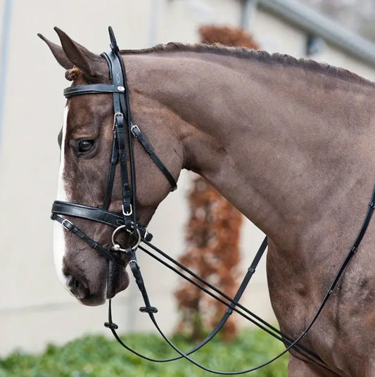 Elastic Chambon