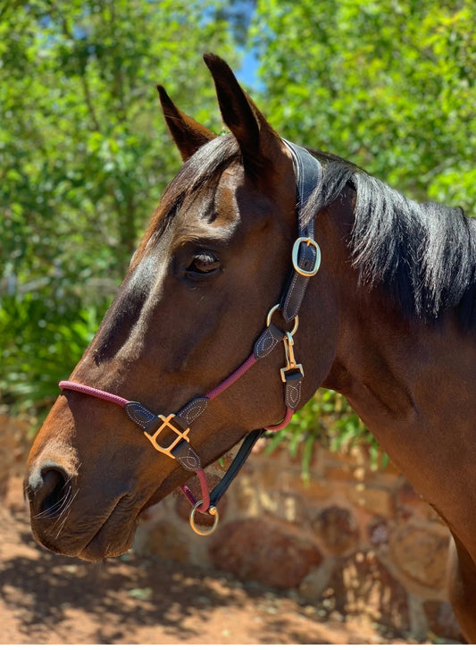 Mane Event Multi Halter