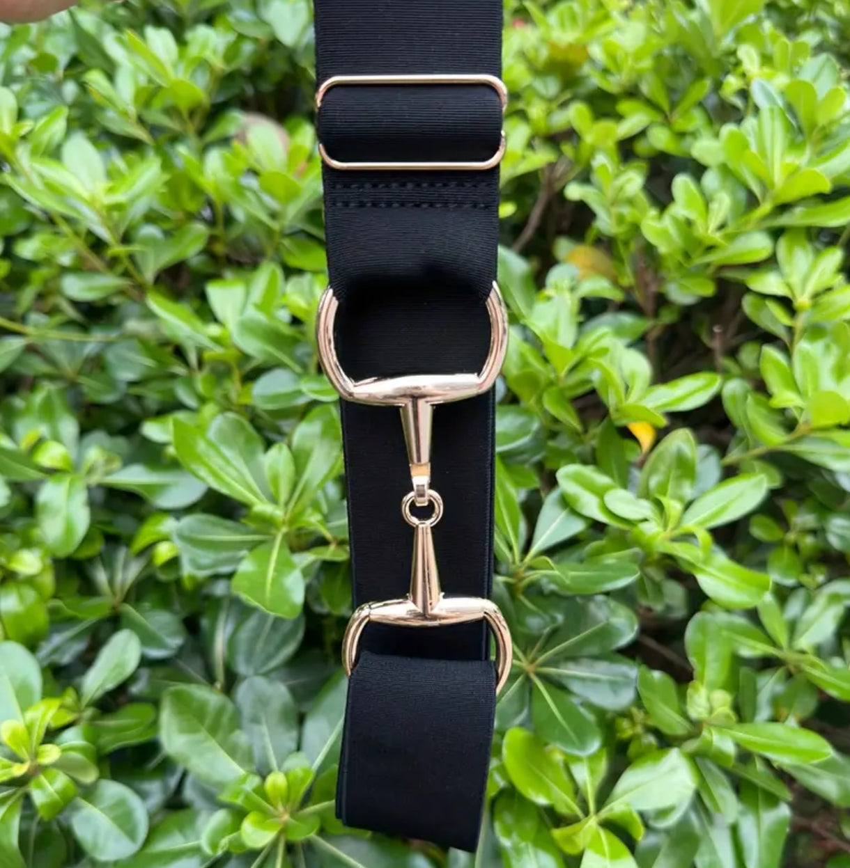 Belts